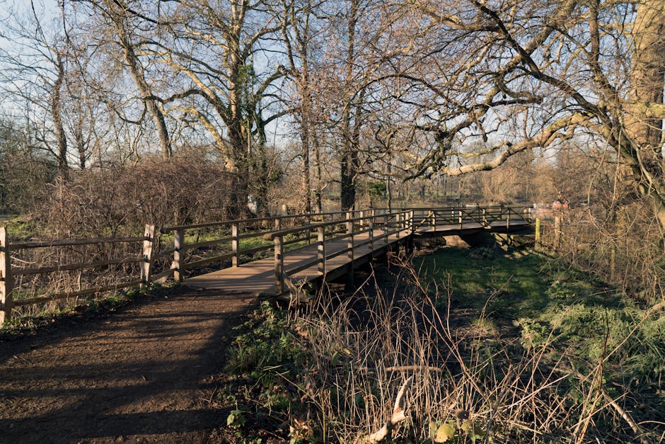 A small wooden footbridge with horizontal planks and a dark brown finish spans across a narrow, dry creek bed in a park or rural area. The bridge features sturdy railings on both sides, supported by evenly spaced vertical posts. Surrounding the bridge are leafless trees with textured bark, some with twisting branches extending overhead, indicating late autumn or winter. The ground on either side of the creek has dark soil and patches of low-growing, sparse vegetation, including dry grasses and small green plants. In the background, additional trees and a faint glimpse of distant buildings or structures are visible, under a clear sky with soft sunlight casting subtle shadows. The scene presents a peaceful outdoor setting with natural elements that suggest an area suitable for relaxed pedestrian access, possibly part of a public park or private estate that requires periodic waste clearance or maintenance. The subdued, natural tones and textures emphasize the importance of proper rubbish removal and site upkeep, aligning with services like those offered by rubbish clearance companies such as [COMPANY_NAME].