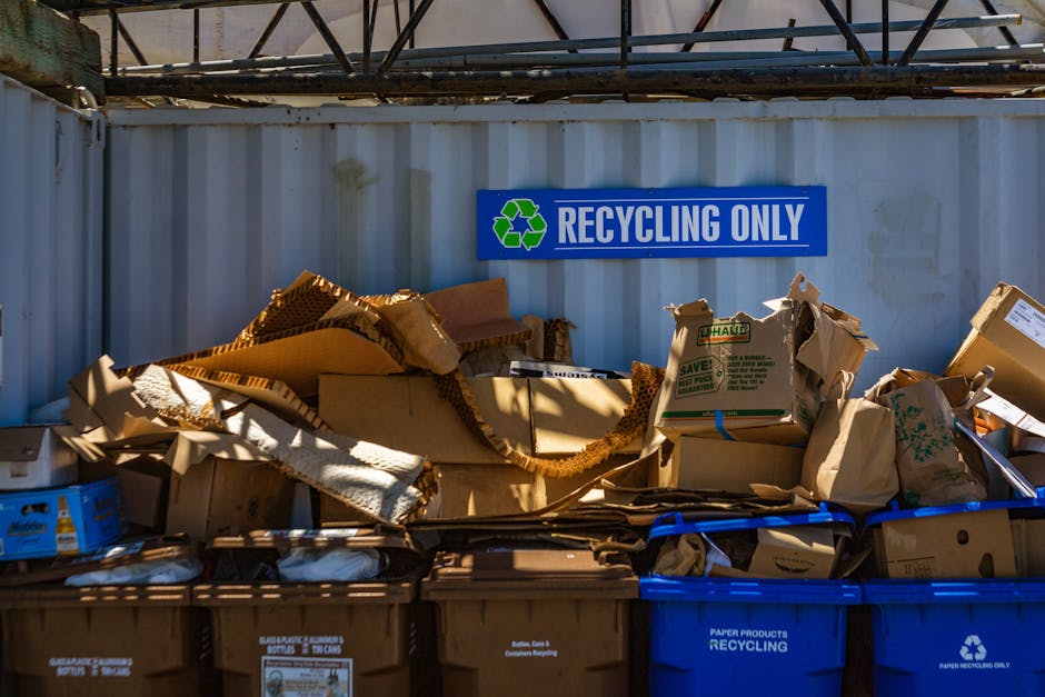 An outdoor recycling area featuring a white corrugated metal wall with a blue rectangular sign that reads 'RECYCLING ONLY' alongside a green recycling symbol. In front of the wall, there is a pile of flattened and crumpled cardboard boxes and paper packaging, displaying both brown and white materials with some torn edges and folds. The piles of recyclable cardboard are stacked in brown containers labeled for paper recycling, with some boxes leaning against each other and a few partially spilling out. To the right, a bright blue recycling bin labeled 'PAPER PRODUCTS RECYCLING' is visible alongside other bins, indicating a designated space for waste separation. The environment suggests an off-site collection point managed by a waste disposal service, with the scene illuminated by natural daylight, highlighting the textures of the cardboard, the metallic background, and the plastic bins, emphasizing the professional setting for rubbish and recycling management.